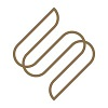 Logo Succession Wealth