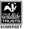Logo Somerset Wildlife Trust