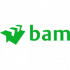 Logo BAM International