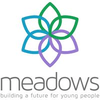 Logo Meadows Care