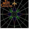 Logo True North Consulting